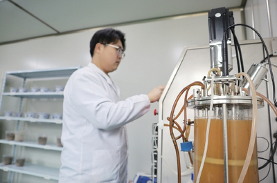 生物農(nóng)藥技術(shù)研發(fā) 對(duì)抗土壤板結(jié)與鹽堿化的綠色革命