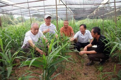 農(nóng)業(yè)文化遺產(chǎn)活態(tài)保護(hù)與利用研究獲重要成果