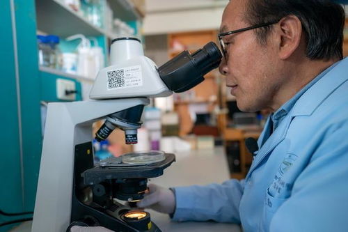 生物農(nóng)藥技術(shù)研發(fā) 綠色農(nóng)業(yè)的新引擎